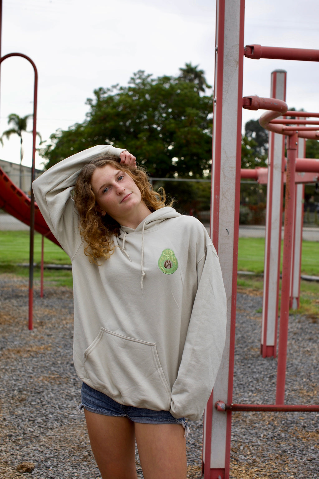 Carpinteria CA Avocado Hoodie🥑