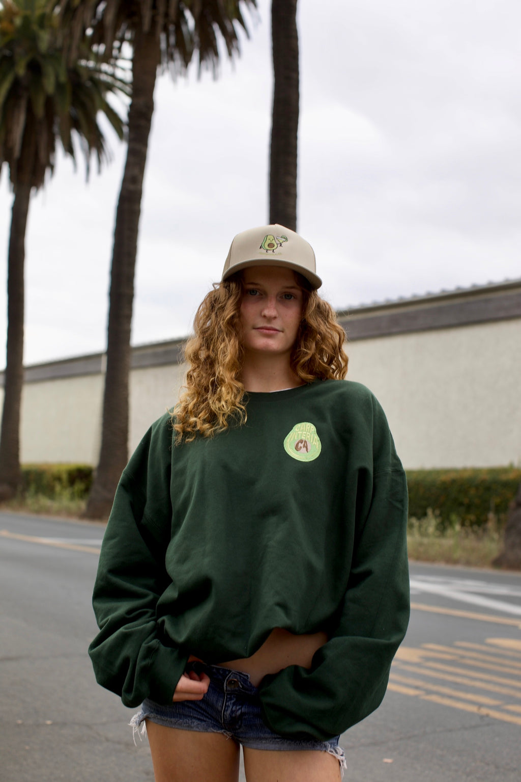 Carpinteria Avocado Crewneck🥑